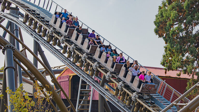 Dynamic Rides